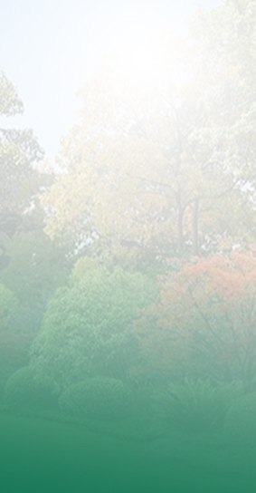 Municipal Engineering