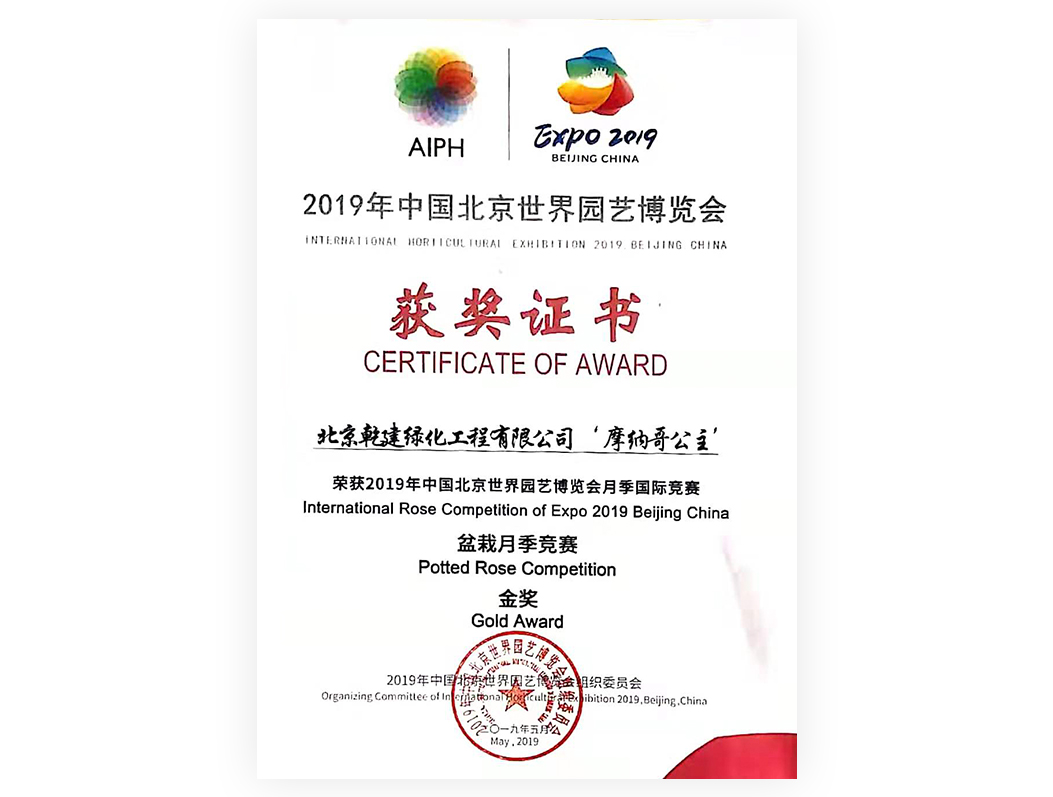 2019-月季“摩納哥公主”-金獎