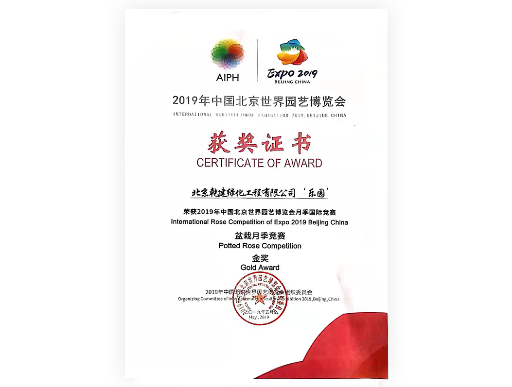 2019-月季“樂園“-金獎